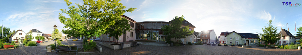 TSE Online - Zillisheim (68720)